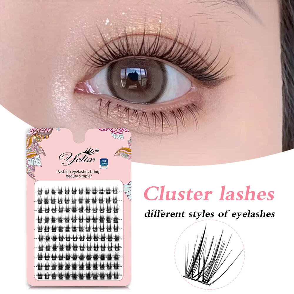 Segmented Natural Eyelashes Eye Extension Makeup