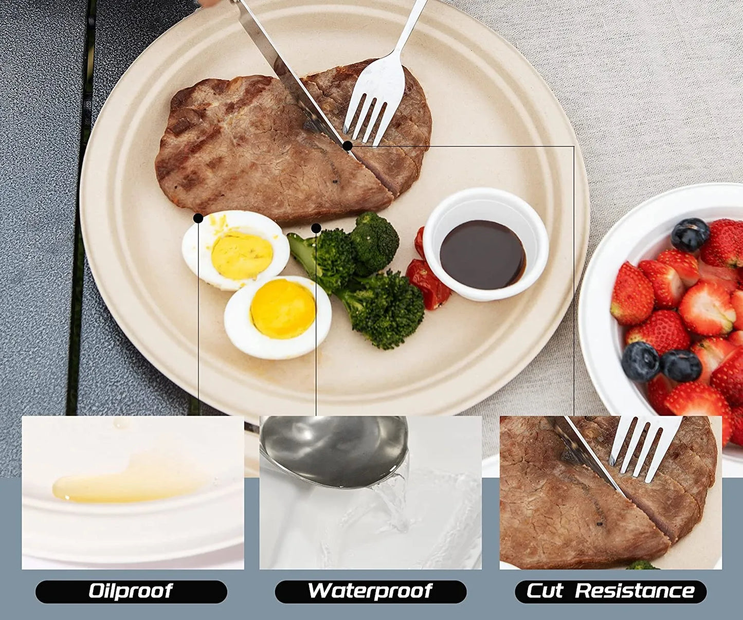 Natural Biodegradable Eco-Friendly Sugarcane Plates