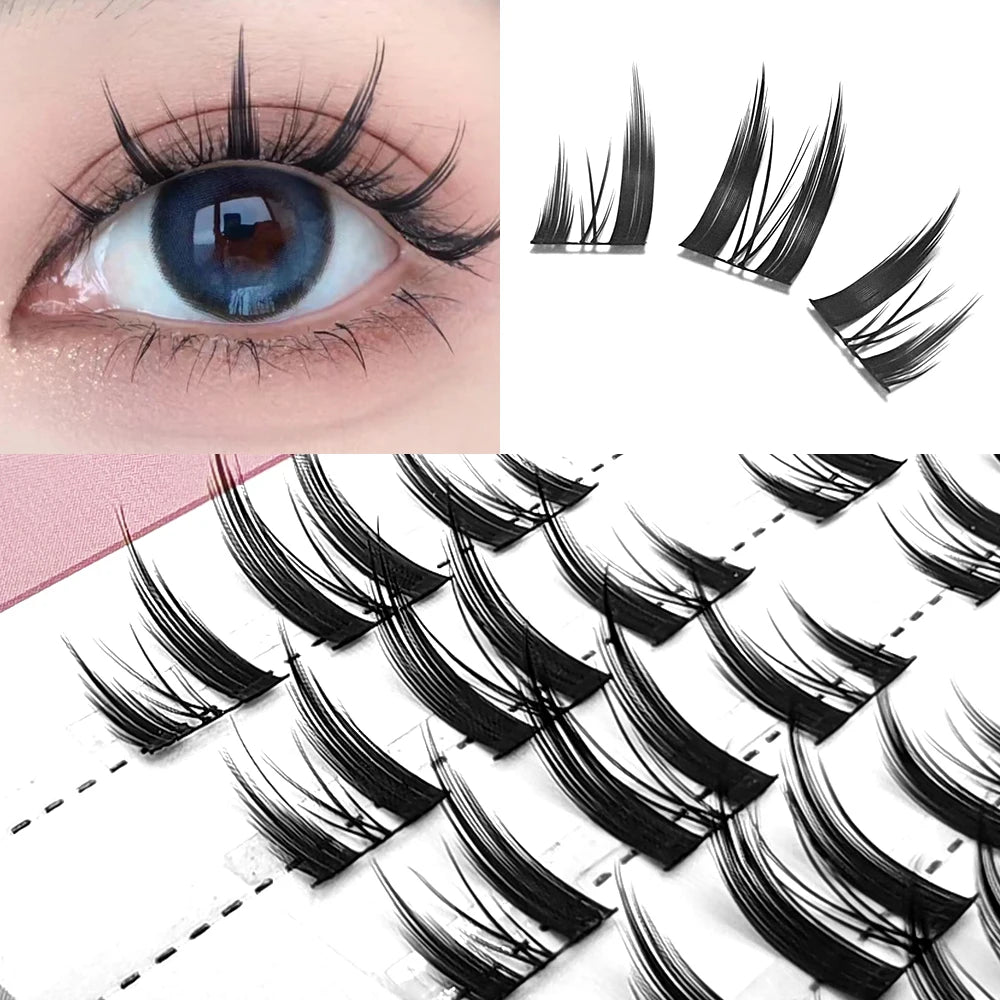 Segmented Natural Eyelashes Eye Extension Makeup