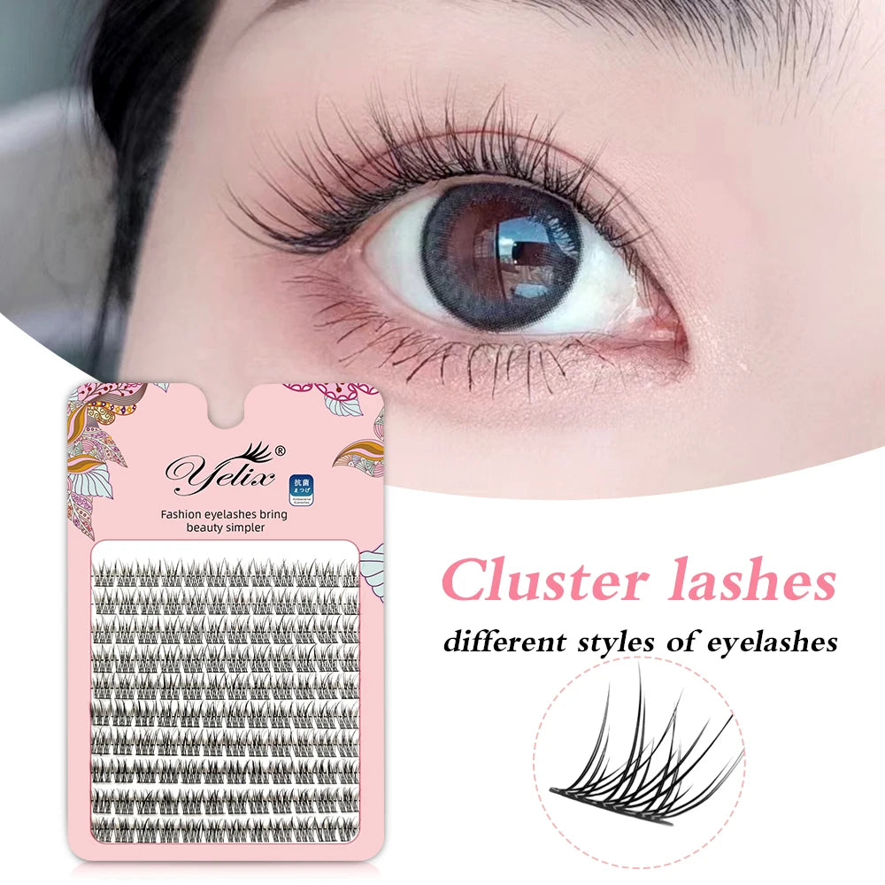 Segmented Natural Eyelashes Eye Extension Makeup